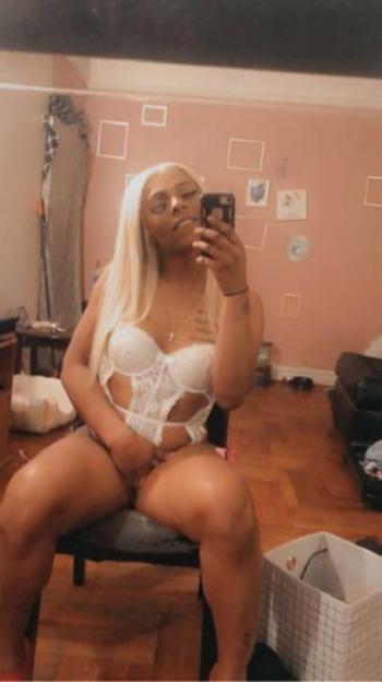 2036460036, transgender escort, New Haven