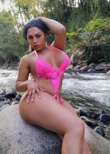 2486406592, transgender escort, New Haven